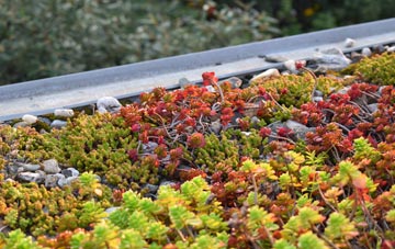 the cost of Campton green roof installation